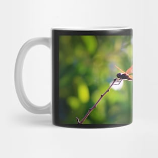 Dragonfly on a Stick 3 Mug